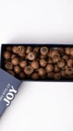 Box Mini Bite 70 Pcs - Image 2